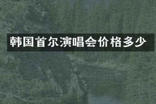 韩国首尔演唱会价格多少