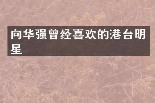 向华强曾经喜欢的港台明星