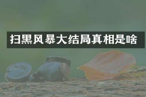 扫黑风暴大结局真相是啥