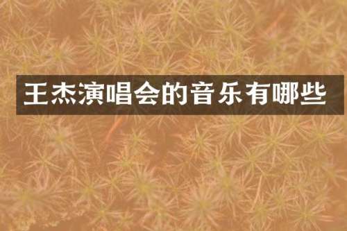 王杰演唱会的音乐有哪些