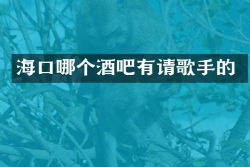 海口哪个酒吧有请歌手的