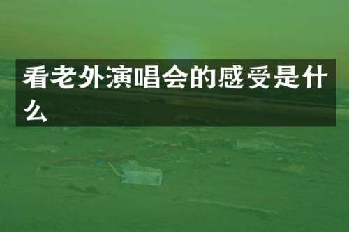 看老外演唱会的感受是什么