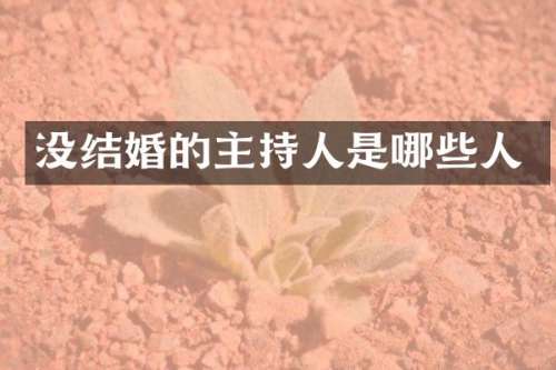 没结婚的主持人是哪些人