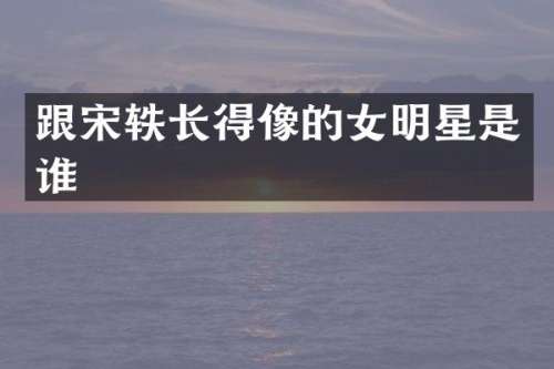 跟宋轶长得像的女明星是谁