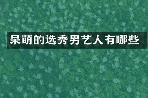 呆萌的选秀男艺人有哪些