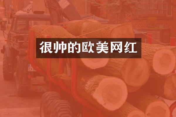 很帅的欧美网红