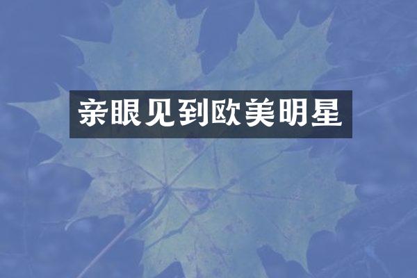亲眼见到欧美明星