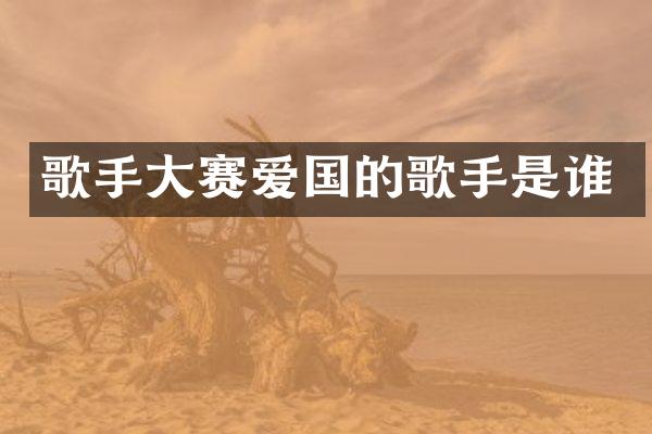 歌手大赛爱国的歌手是谁