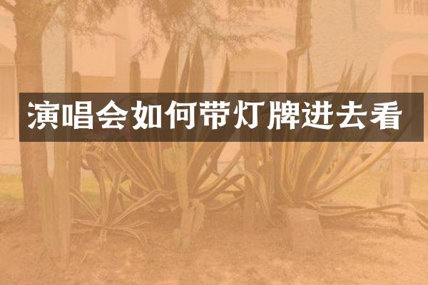 演唱会如何带灯牌进去看