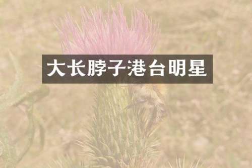 大长脖子港台明星