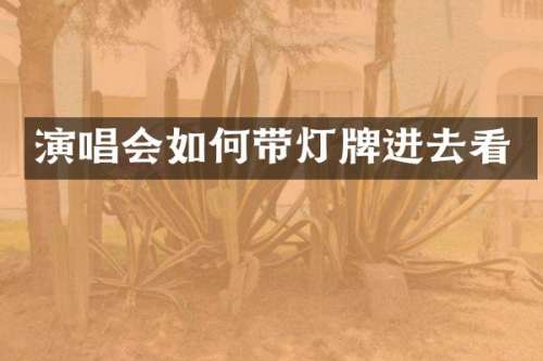 演唱会如何带灯牌进去看