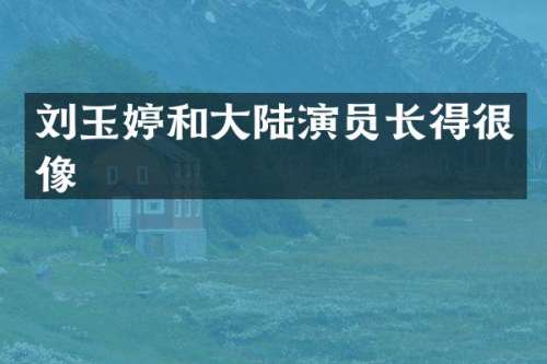刘玉婷和大陆演员长得很像