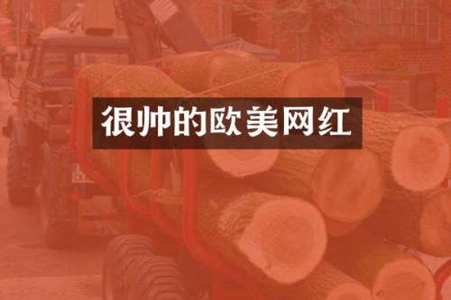 很帅的欧美网红
