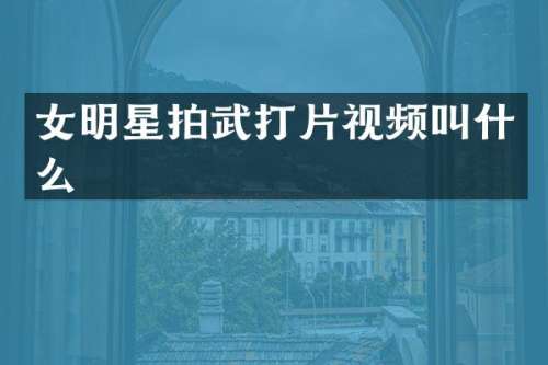 女明星拍武打片视频叫什么