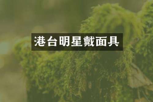 港台明星戴面具