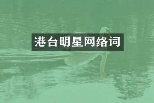 港台明星网络词
