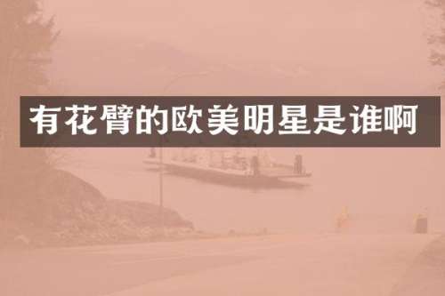 有花臂的欧美明星是谁啊