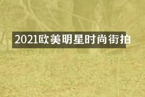 2021欧美明星时尚街拍