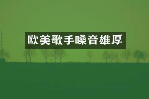 欧美歌手嗓音雄厚