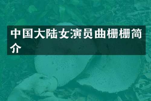 中国大陆女演员曲栅栅简介