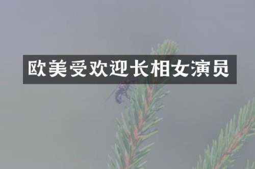 欧美受欢迎长相女演员