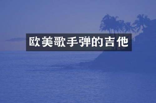 欧美歌手弹的吉他