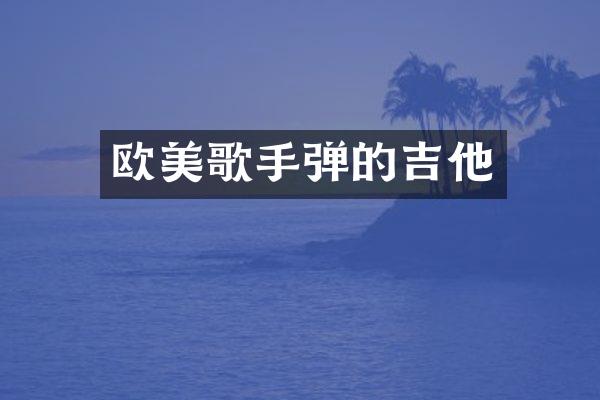 欧美歌手弹的吉他