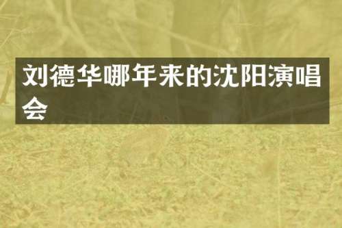 刘德华哪年来的沈阳演唱会
