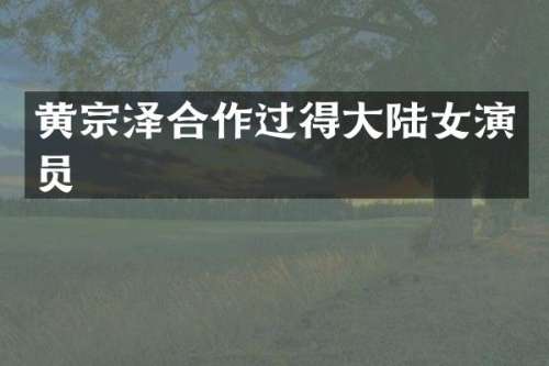 黄宗泽合作过得大陆女演员