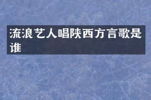 流浪艺人唱陕西方言歌是谁