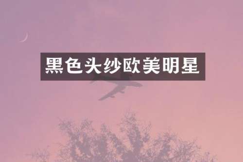 黑色头纱欧美明星
