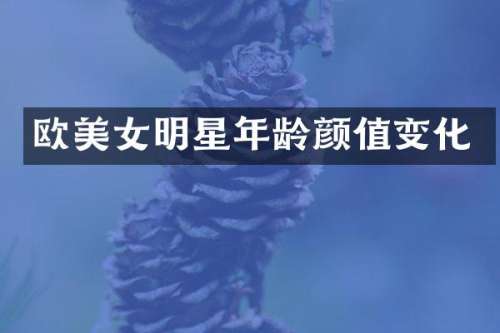 欧明星年龄颜值变化