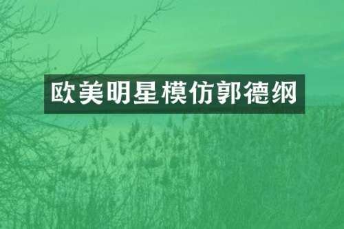 欧美明星模仿郭德纲