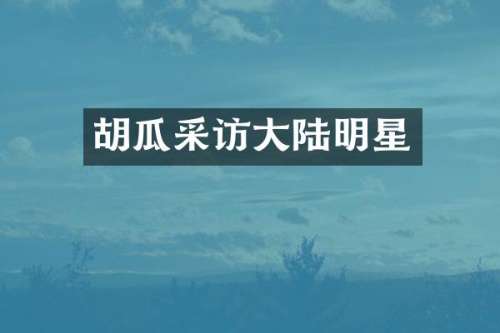 胡瓜采访大陆明星