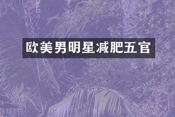 欧美男明星减肥五官