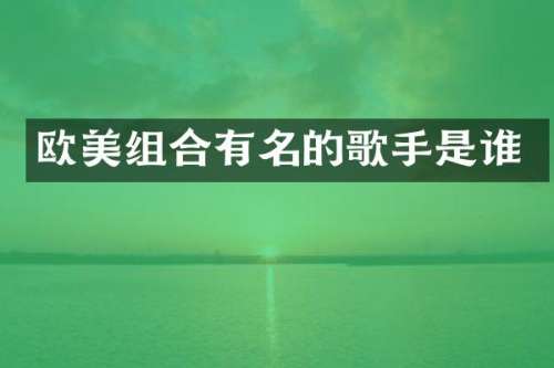 欧美组合有名的歌手是谁