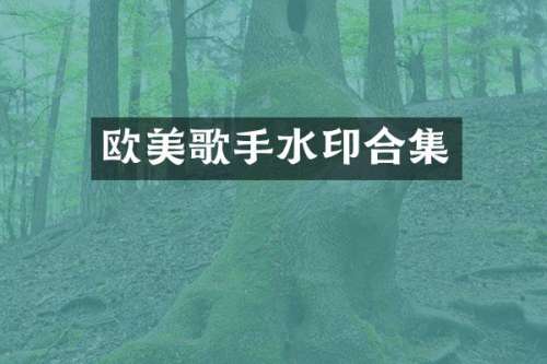 欧美歌手水印