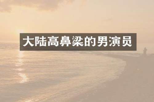 大陆高鼻梁的男演员