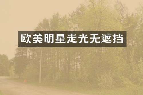 欧美明星走光无遮挡