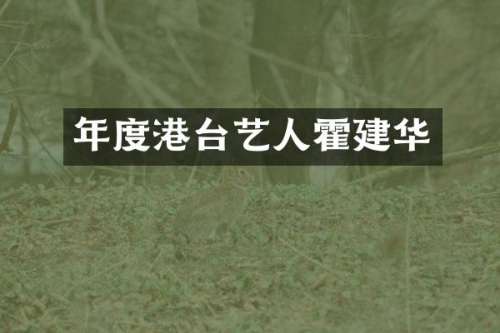 年度港台艺人霍建华