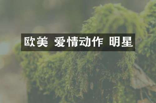 欧美 爱情动作 明星