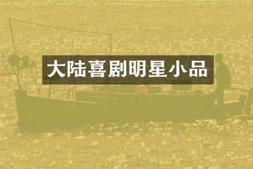 大陆喜剧明星小品