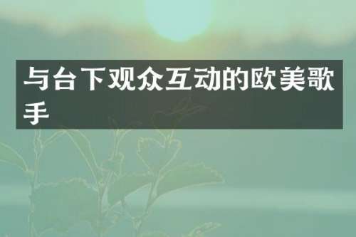 与台下观众互动的欧美歌手