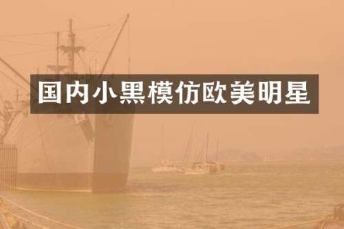 国内小黑模仿欧美明星