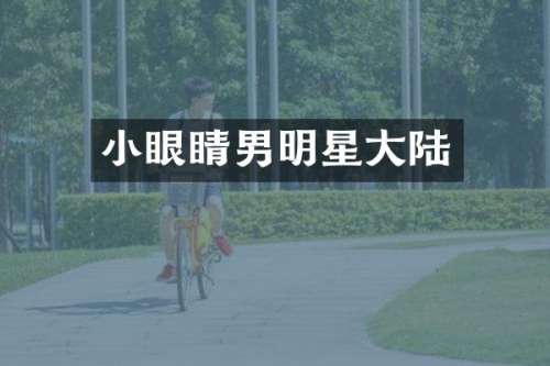 小眼睛男明星大陆