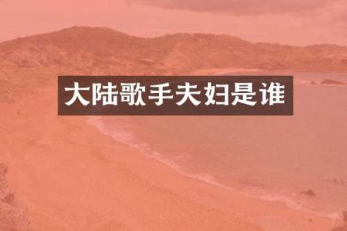 大陆歌手夫妇是谁