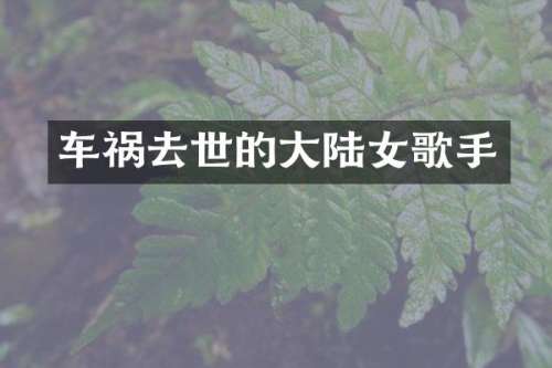 车祸去世的大陆女歌手