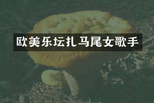 欧美乐坛扎马尾女歌手