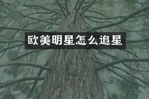 欧美明星怎么追星