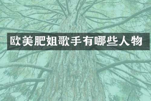 欧美肥姐歌手有哪些人物